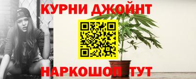 мяу мяу мука Беслан