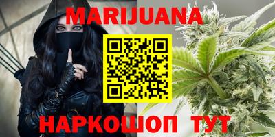 мдпв Бийск