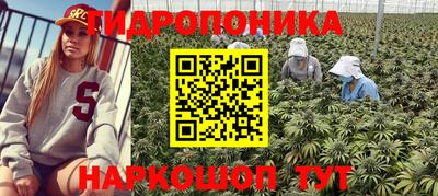 PSILOCYBIN Балашиха