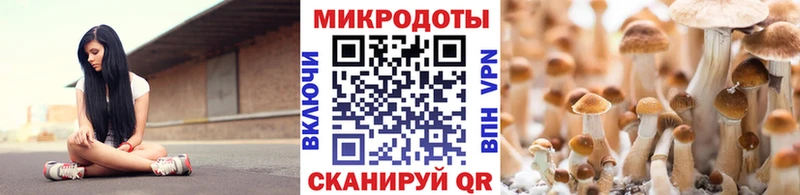 Псилоцибиновые грибы ЛСД  Великие Луки 